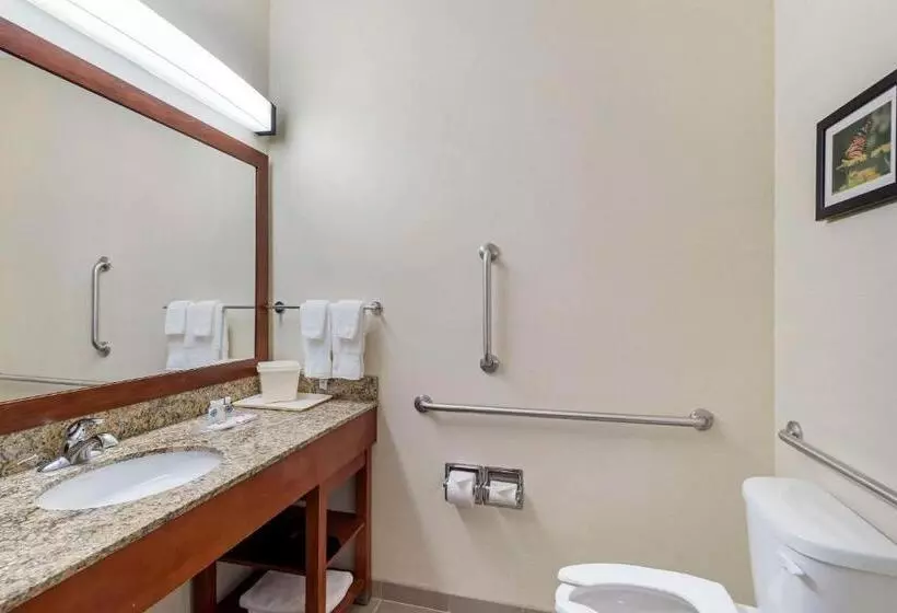 ホテル Comfort Suites Normal University Area