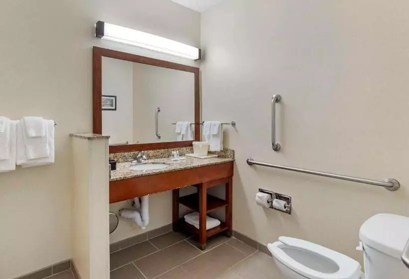 ホテル Comfort Suites Normal University Area