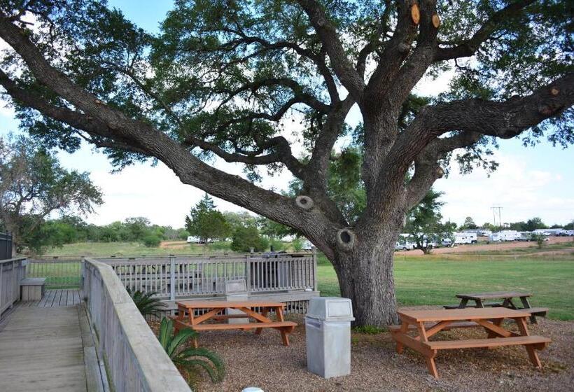 Отель Executive Inn & Suites Cuero