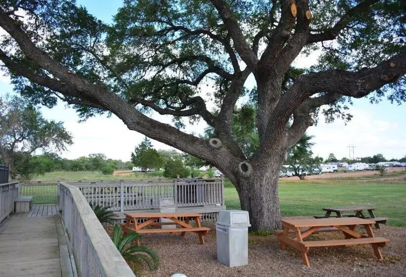 Hotelli Executive Inn & Suites Cuero