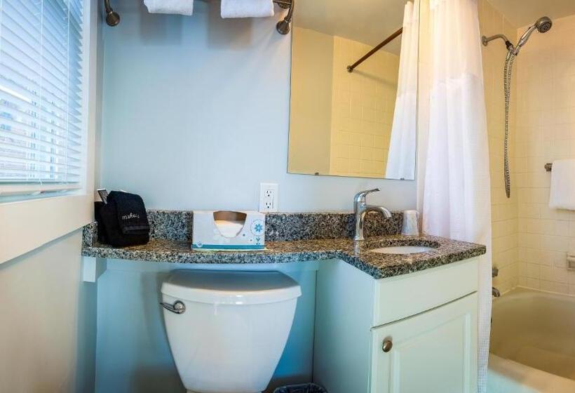 汽车旅馆 Bearskin Neck Motor Lodge