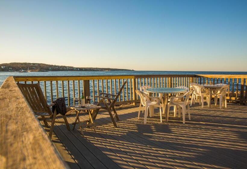 汽车旅馆 Bearskin Neck Motor Lodge