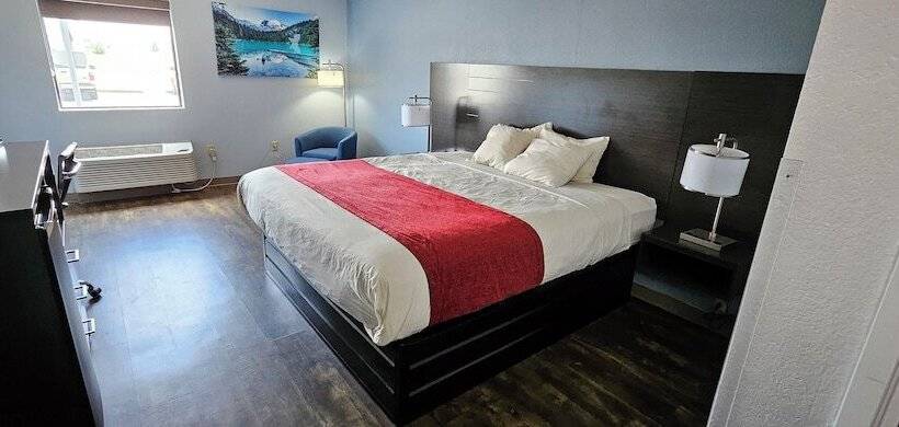 モーテル Briarwood Inn Of Sparta