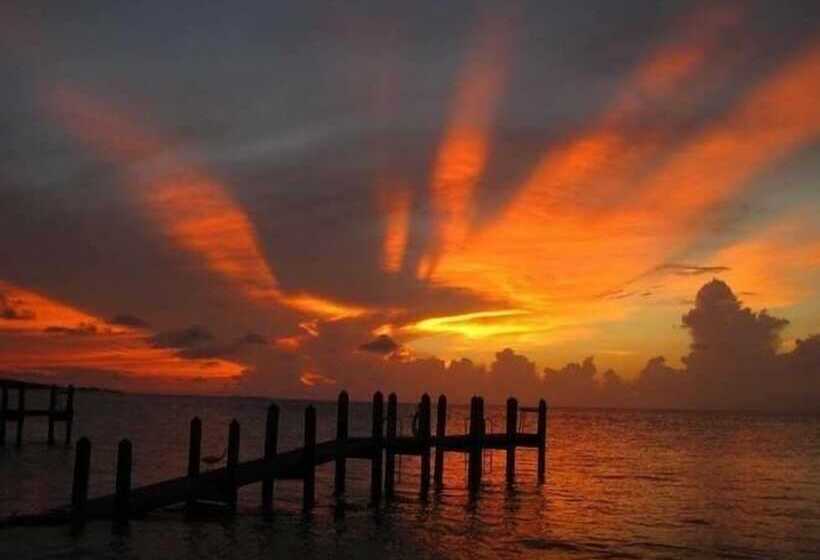 فندق على الطريق Edgewater Lodge