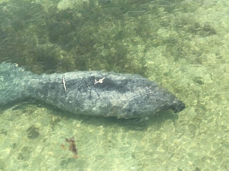 فندق على الطريق Edgewater Lodge