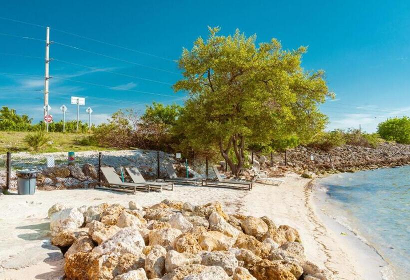 فندق على الطريق Edgewater Lodge