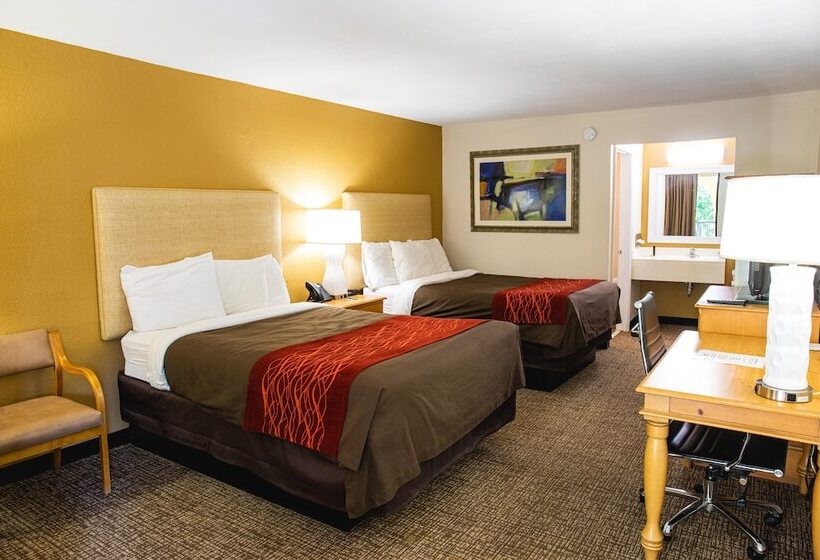 汽车旅馆 Grand Vista