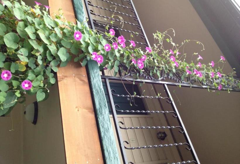 Ridge Top Motel   Bryson City