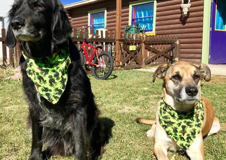 The Wanderlust Hostel