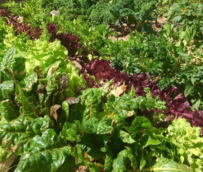 The Wanderlust Hostel