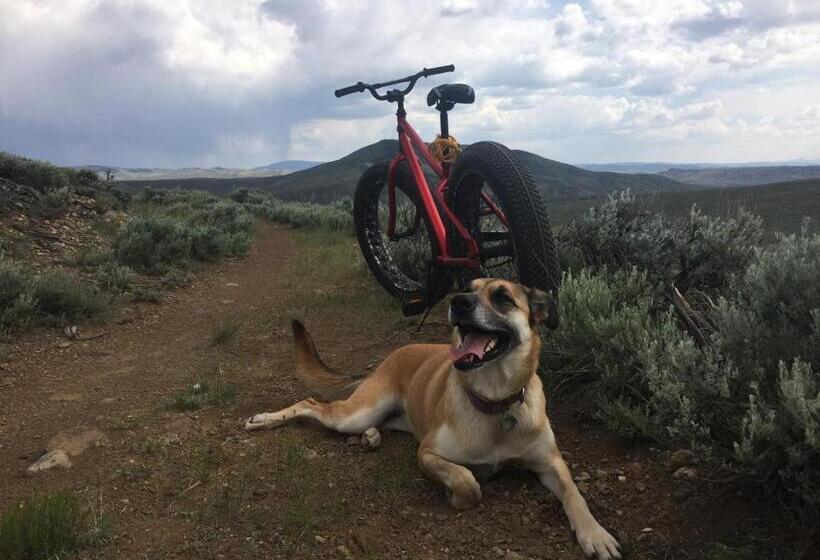 The Wanderlust Hostel