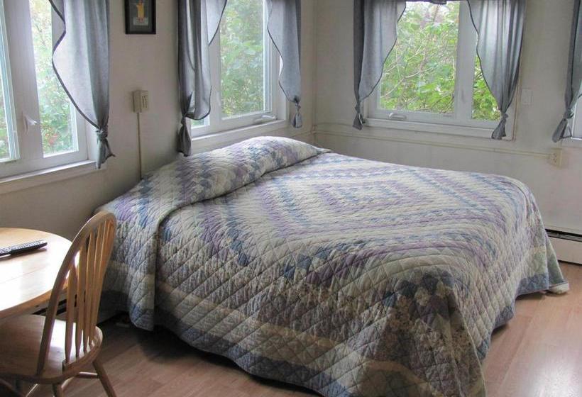 A Downtown Hideaway Bed And Breakfast