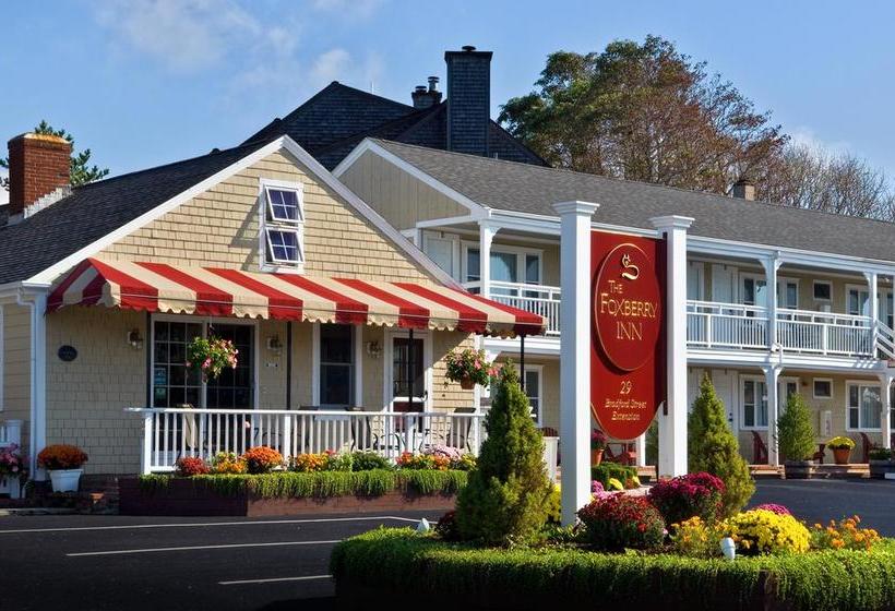 تختخواب و صبحانه The Foxberry Inn