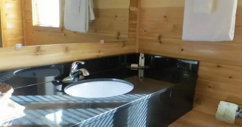 ホテル Cabins Of Mackinac & Lodge