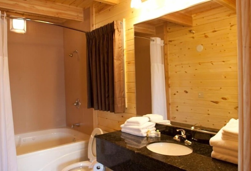 هتل Cabins Of Mackinac & Lodge