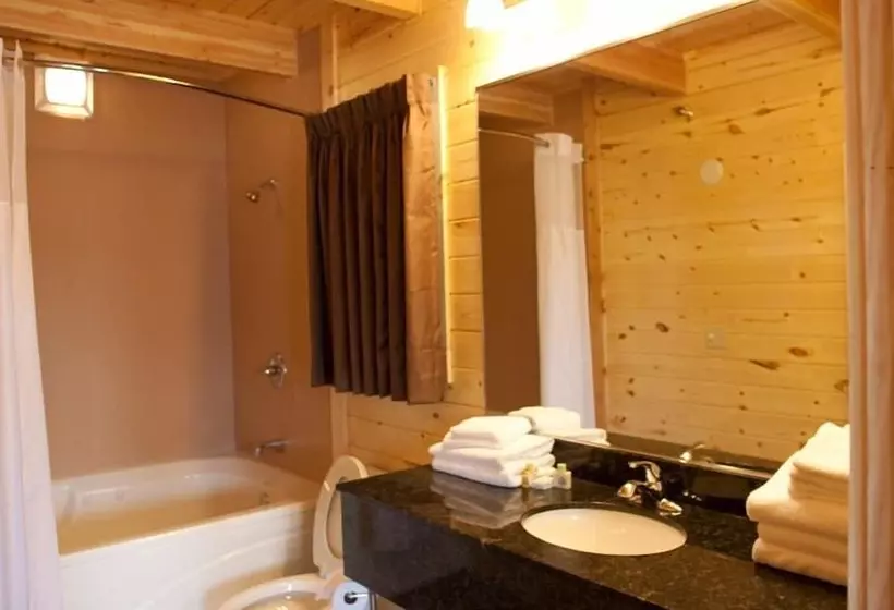 ホテル Cabins Of Mackinac & Lodge