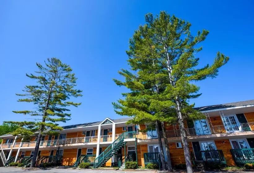 ホテル Cabins Of Mackinac & Lodge