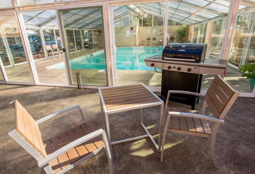 فندق Pelican Shores Inn