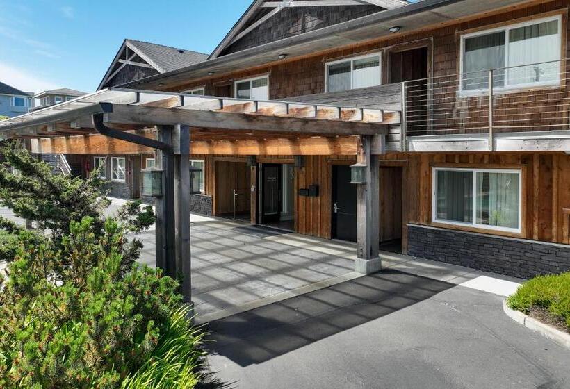 فندق Pelican Shores Inn