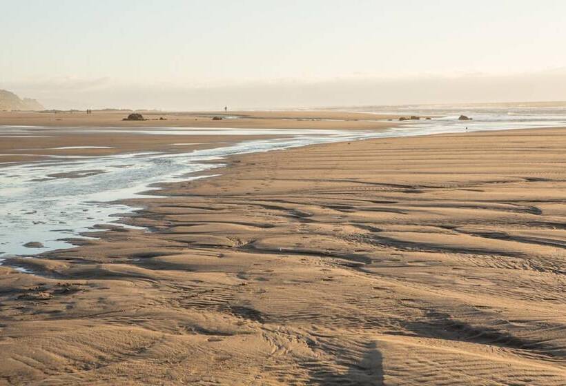 فندق Pelican Shores Inn