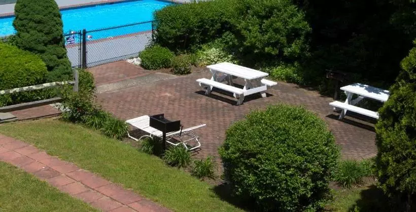 The Cove Motel