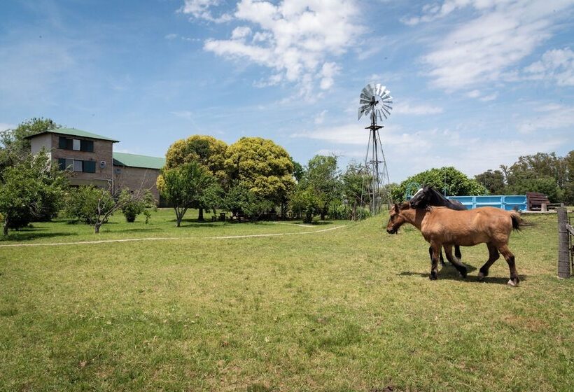 Отель Rural La Maria Paloma