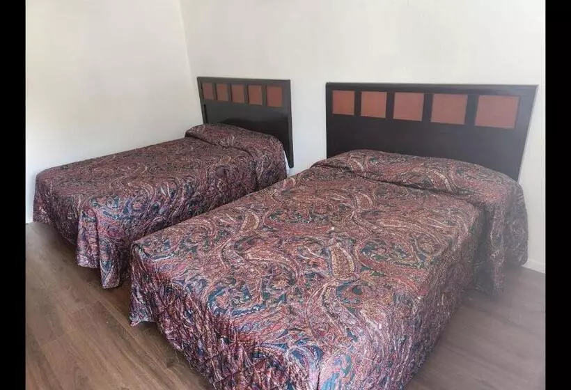 ホテル Budget Inn By Oyo Palestine Tx Hwy 79