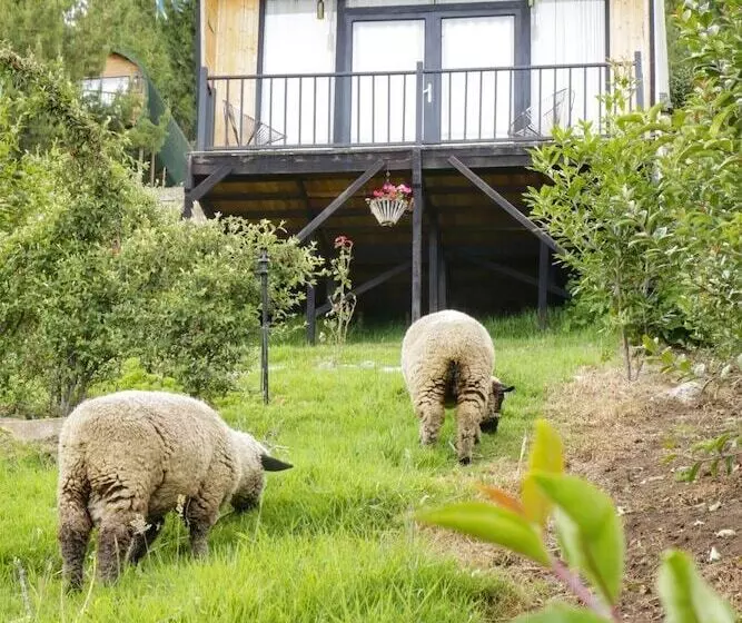 ホテル Costa Azul Ecolodge