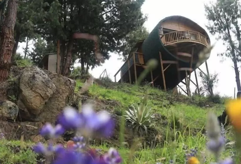 ホテル Costa Azul Ecolodge