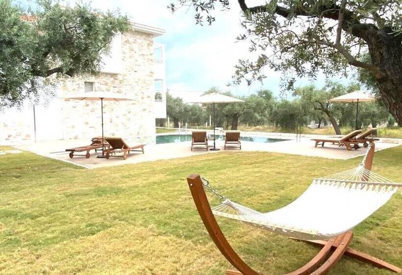 Luminous Luxury Apartments