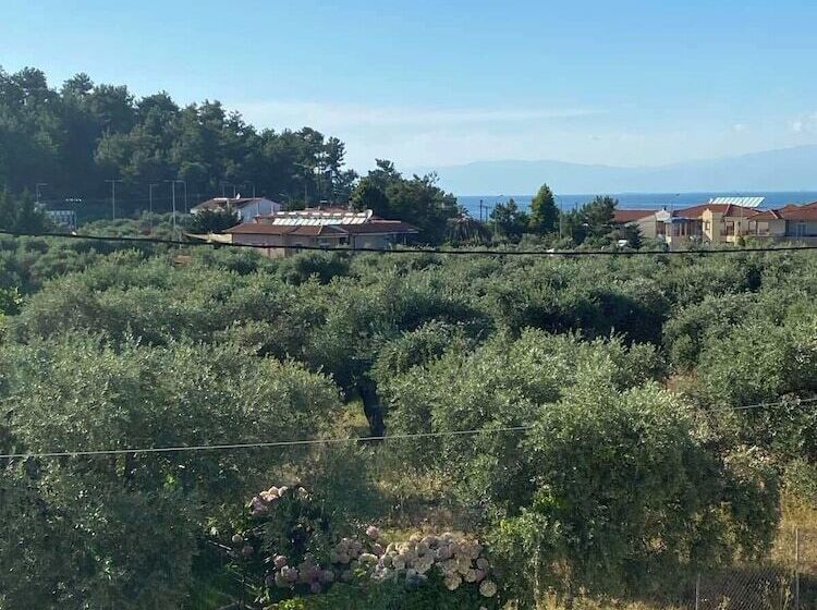 Luminous Luxury Apartments