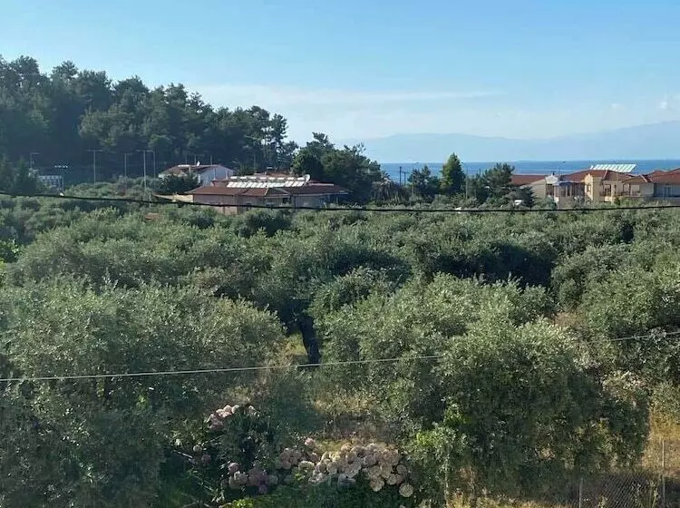 Luminous Luxury Apartments