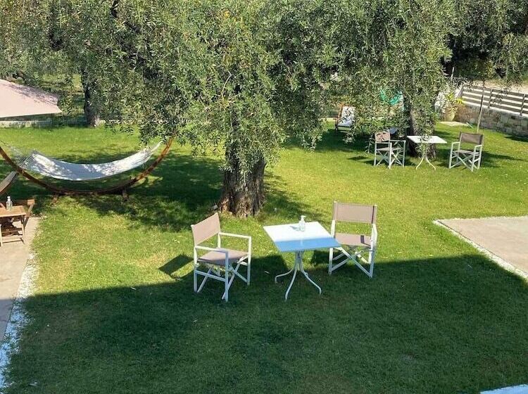 Luminous Luxury Apartments