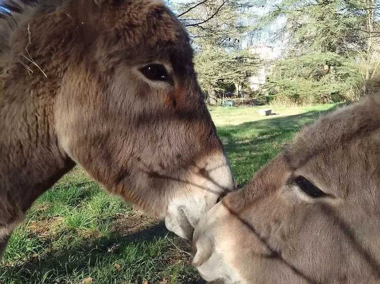 ペンション Les Favouilles