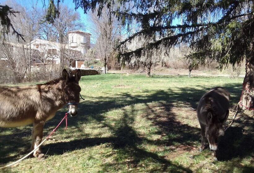 بنسيون Les Favouilles