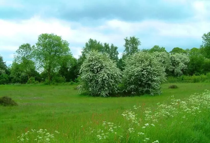 レジデンス Tranquil Elm Lodge Escape In Canterbury