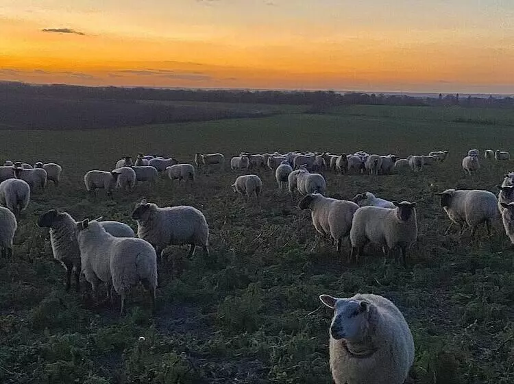 レジデンス Tranquil Elm Lodge Escape In Canterbury