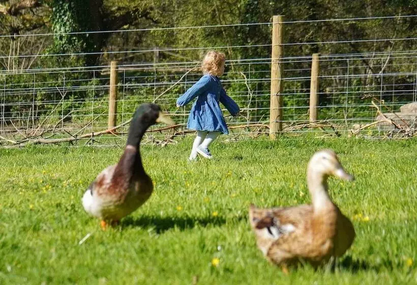 1 Bed 17th Century Stone Cottage In Rural Devon