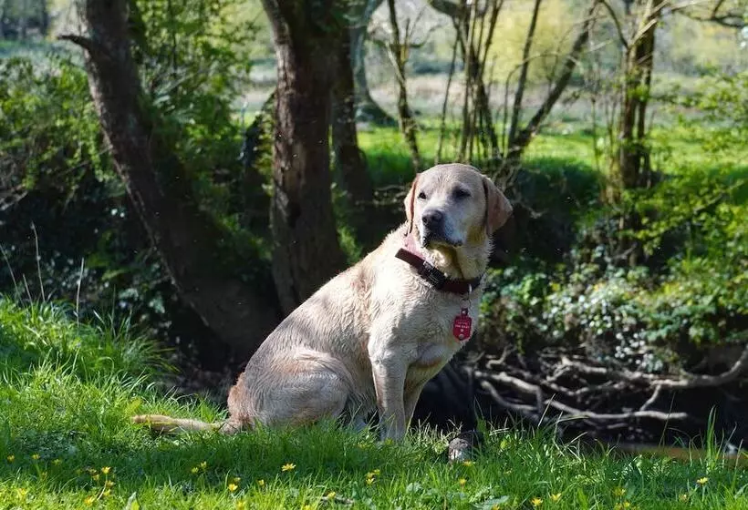 1 Bed 17th Century Stone Cottage In Rural Devon