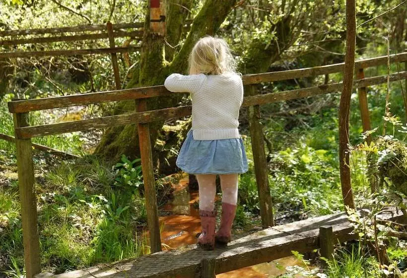1 Bed 17th Century Stone Cottage In Rural Devon