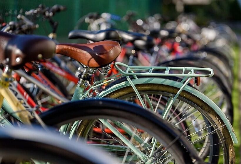 בית מלון כפרי Murray Edwards College