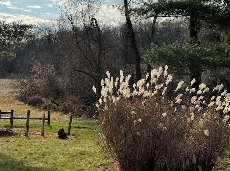 Inn Between The Lakes