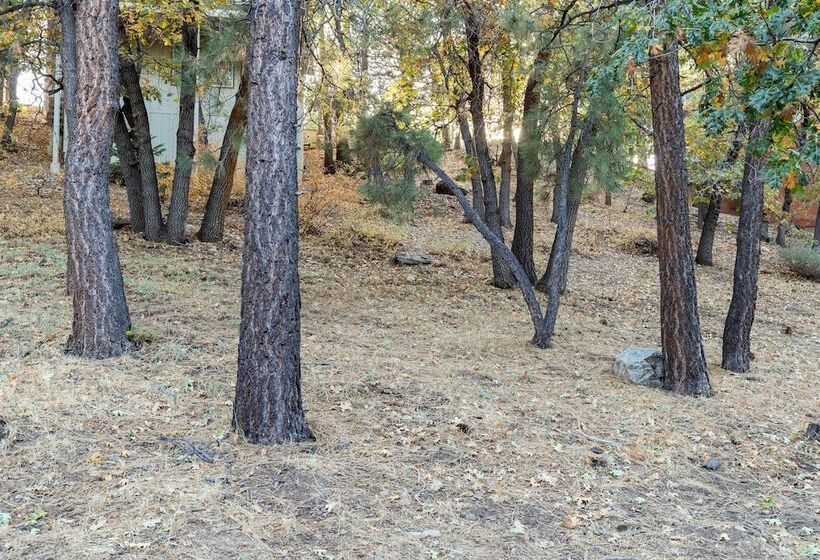 Moonridge Serenade #1967