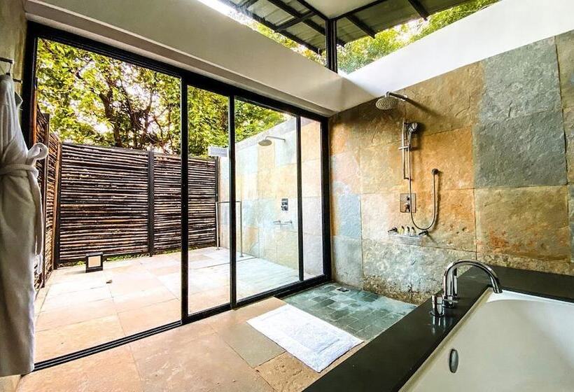 Курорт Dharana At Shillim A Luxury Wellness Retreat