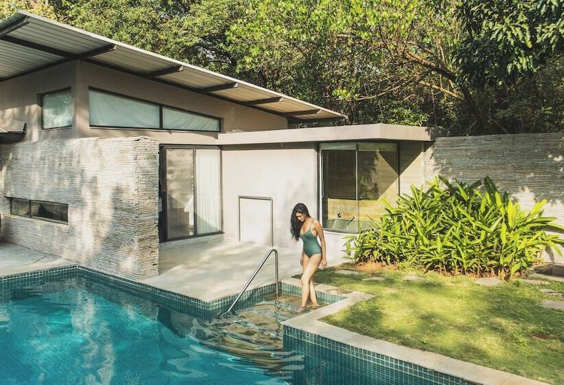 Курорт Dharana At Shillim A Luxury Wellness Retreat