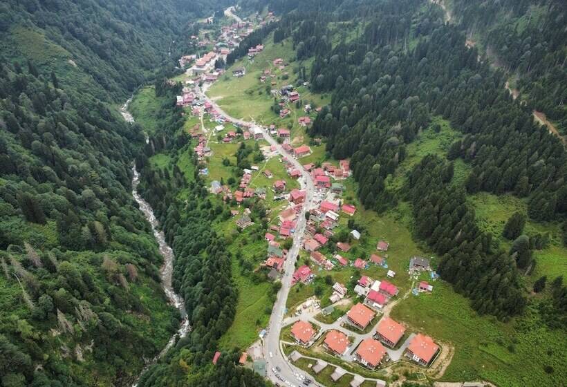 酒店 Ayder Altıparmak Suit