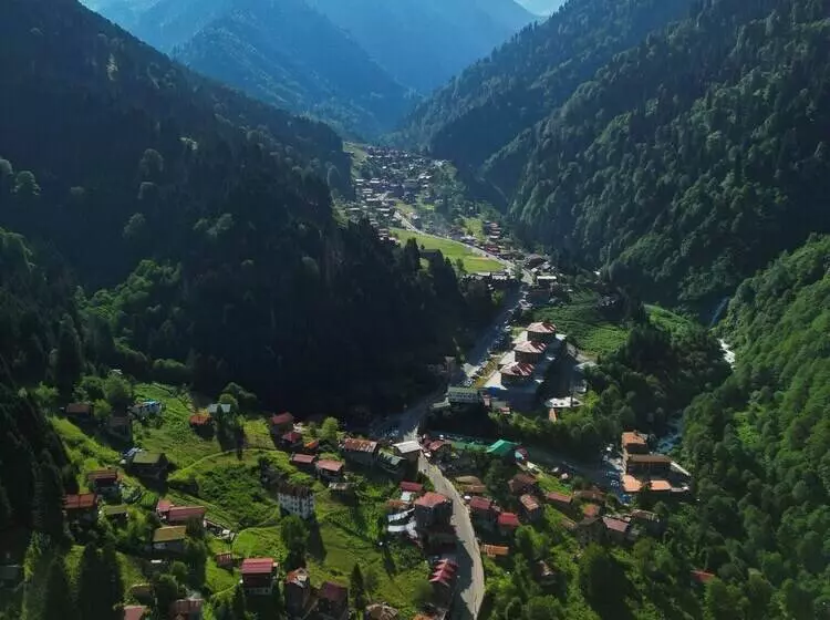 Hotelli Ayder Altıparmak Suit