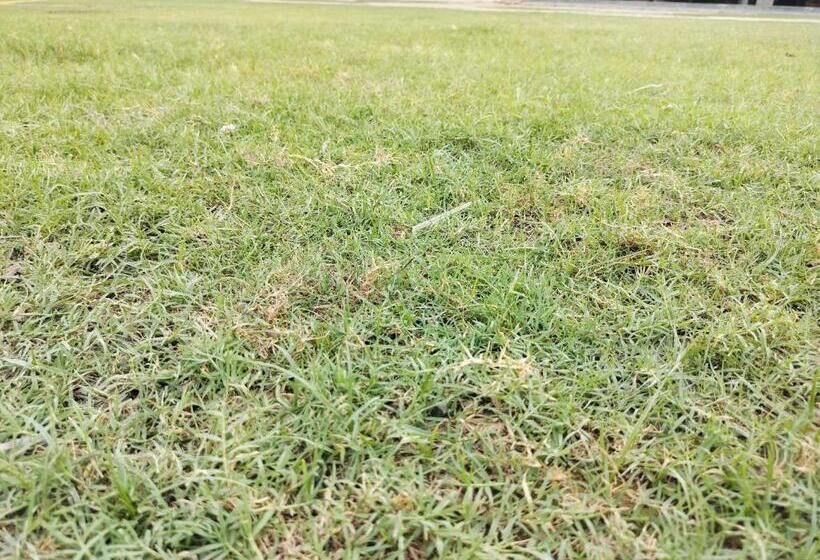 Otel Kesarwani Seva Sadan