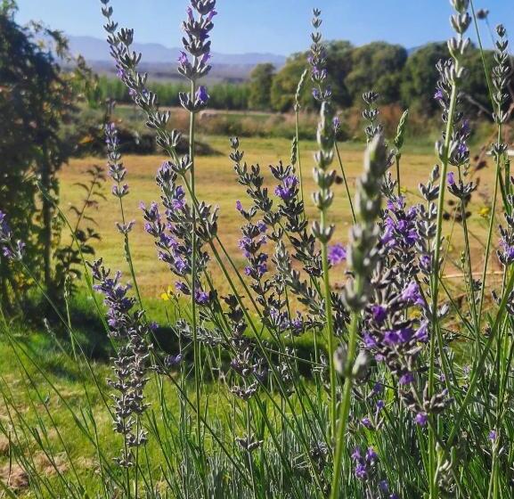 בית מלון כפרי Posta Kamak Eco Posada Rural