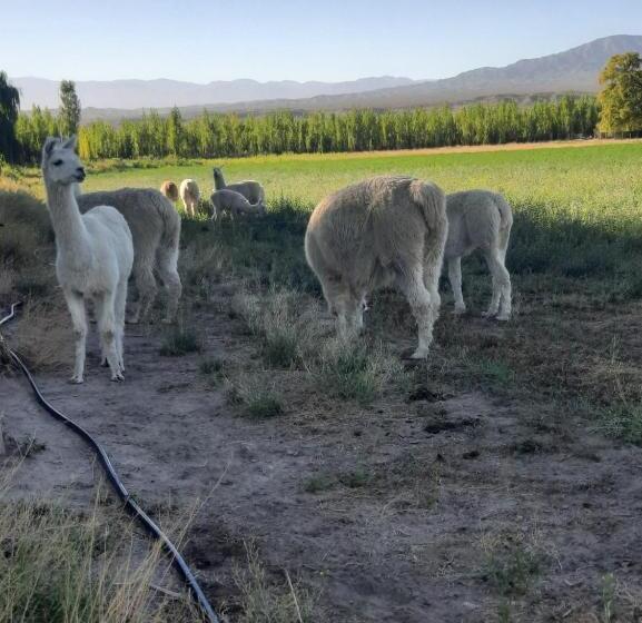 בית מלון כפרי Posta Kamak Eco Posada Rural
